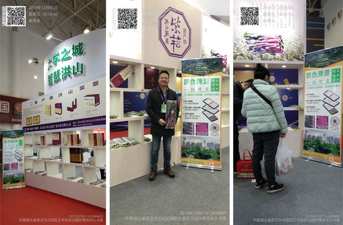 時空印·科技賦能農(nóng)業(yè) 記第28屆中國食品博覽會上的科技中介服務(wù)新范式
